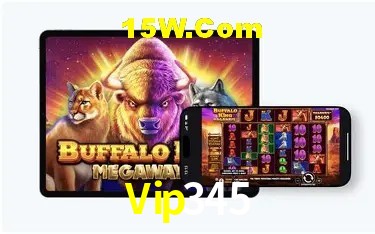 Segurança 2FA Vip345